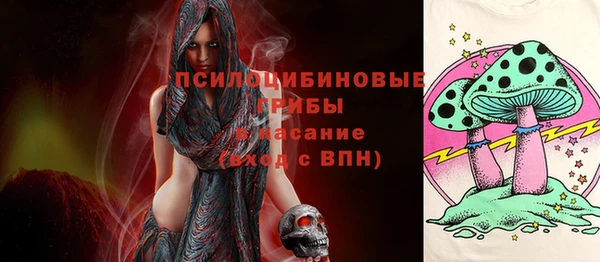 ПСИЛОЦИБИНОВЫЕ ГРИБЫ Алексин