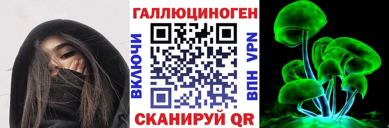 Псилоцибиновые грибы Psilocybe  гидра маркетплейс  Сольцы  где купить  