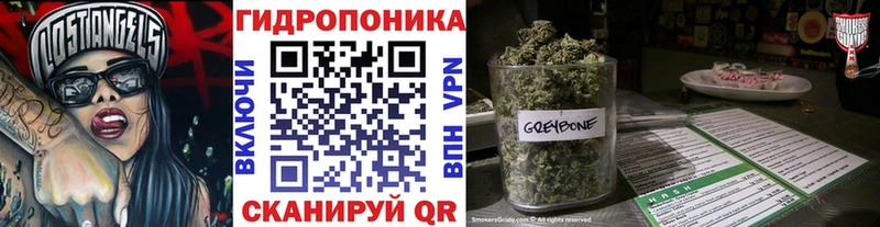 Марихуана сатива  Сольцы 